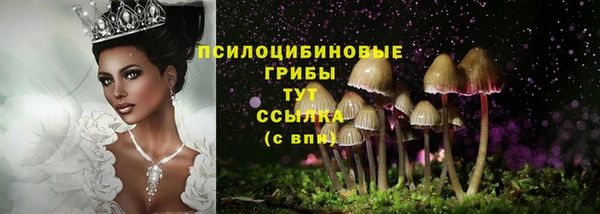 кокс Алексеевка