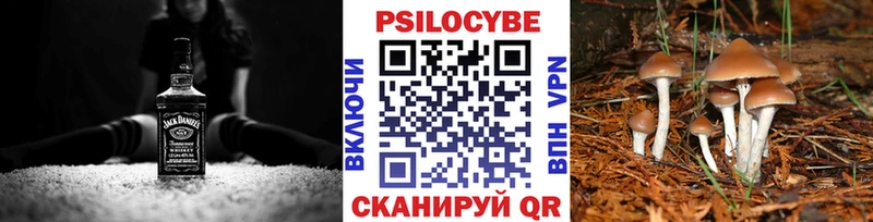 Псилоцибиновые грибы Psilocybine cubensis Купить закладки Азнакаево