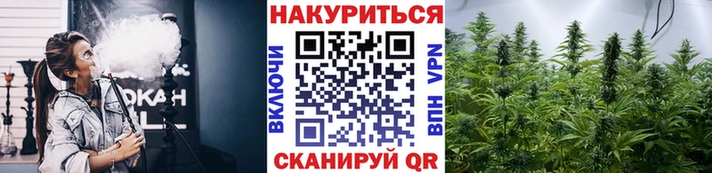 Бошки марихуана AK-47  Купить закладки  Азнакаево 